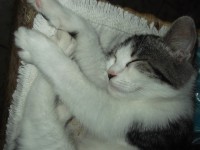 /album/marisa-neves/ferias-agosto-2014-077-jpg/